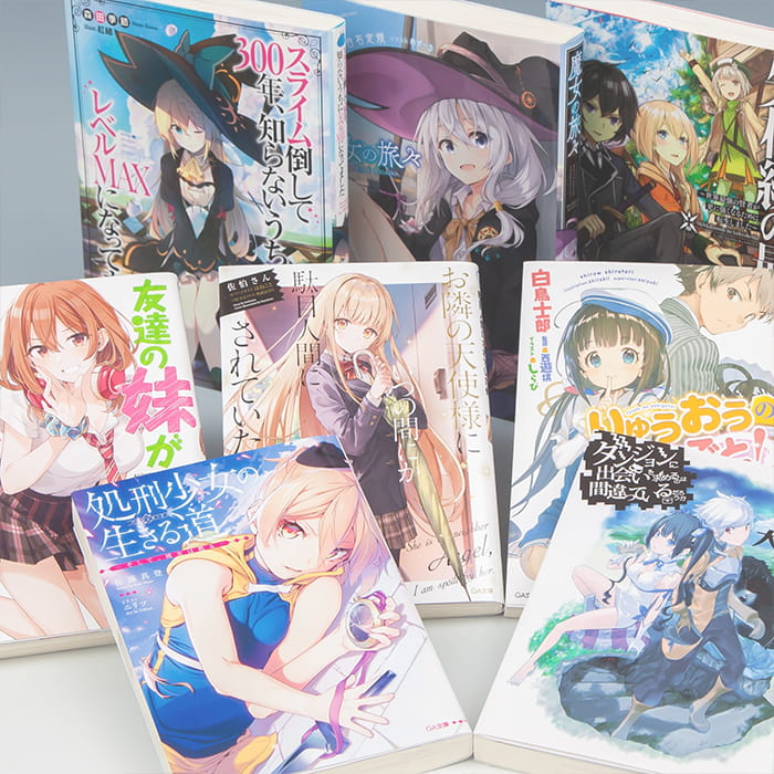 Light novel